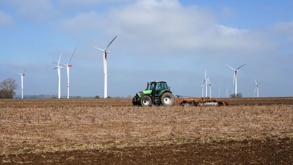 Molinos Agro cierra con ganancias triplicadas por exportaciones y&nbsp;cosecha