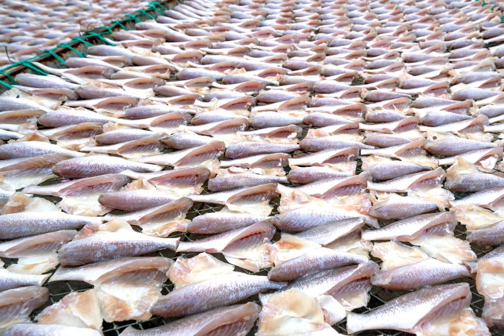 Aisa Group se posiciona en pesca con compra estratégica de Sea&nbsp;Fresh