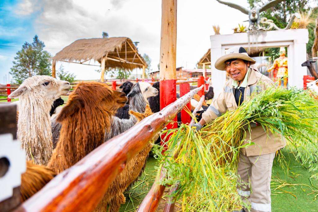 Triunfo Braford: dos campeones de Córdoba dominaron la Expo&nbsp;Rural