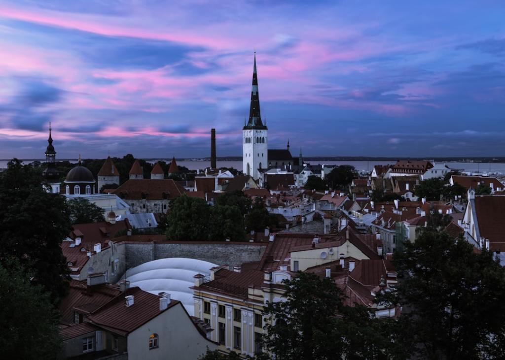 La sabiduria estonia sobre dinero y muerte que desafía la lógica del&nbsp;mercado