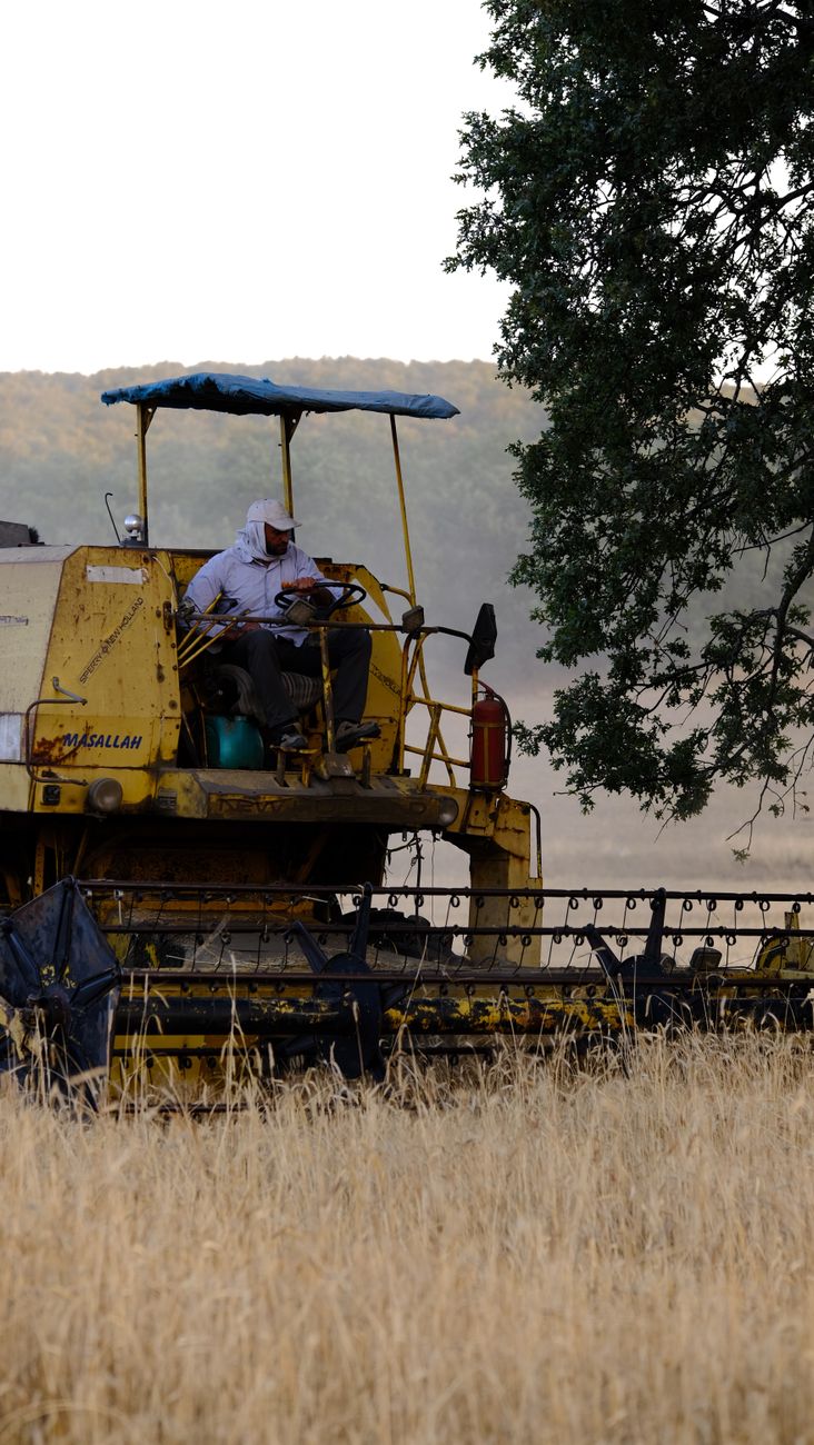 Campo argentino en auge: exportaciones crecen 128% e impulsan nuevas&nbsp;inversiones