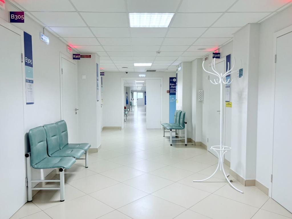 Hospitales verdes: cómo la naturaleza transforma la&nbsp;sanación