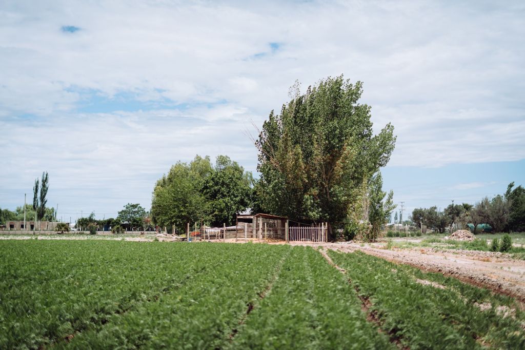 Argentina supera a EE.UU. en confianza del sector&nbsp;agropecuario
