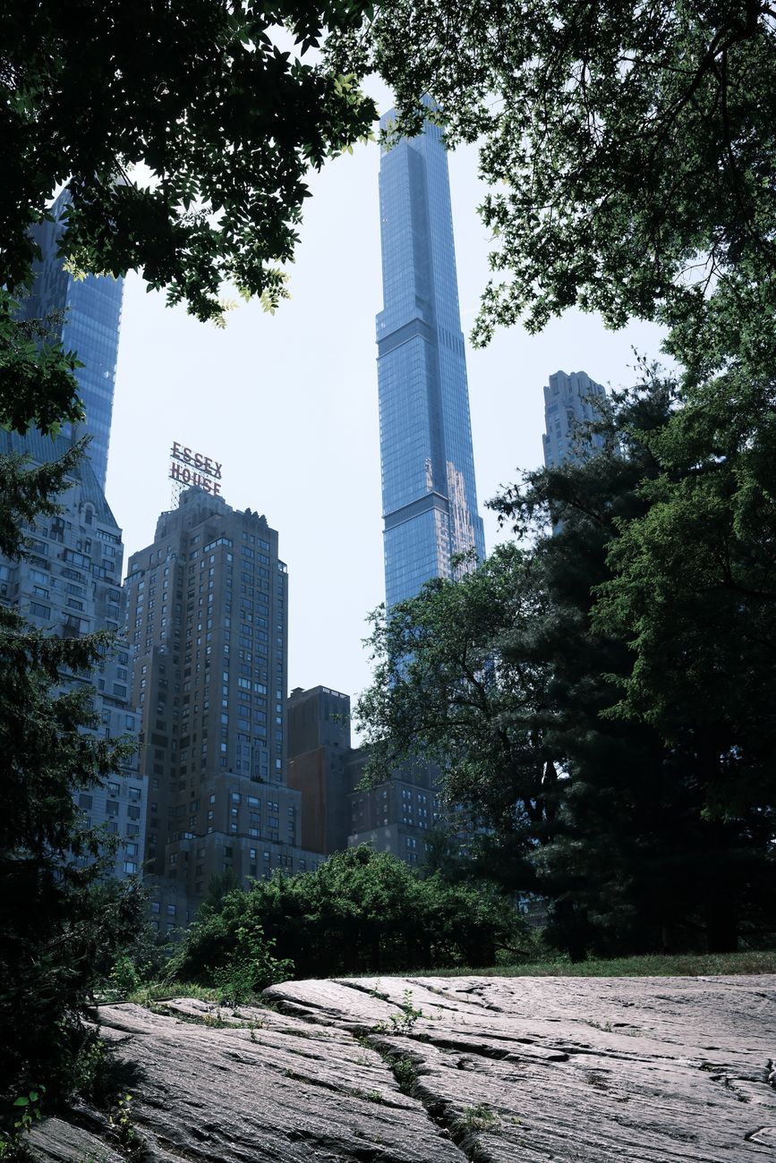 Nueva York elimina los carruajes a caballo de Central Park desde&nbsp;2028